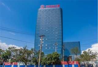 闵行区桦木球场施工地面