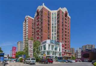 保定单面塑料托盘定制