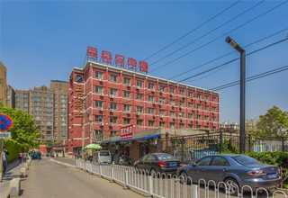 天津多功能木粉机哪家好